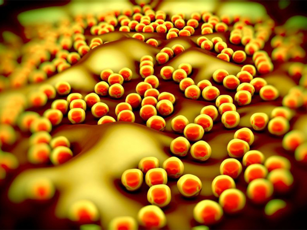 7 things you need to know about food safety