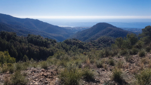 La Cruz de Felix